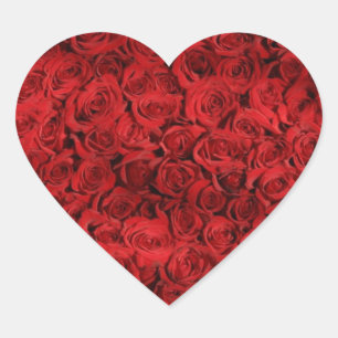 Sticker Cœur Fracas de rose rouge