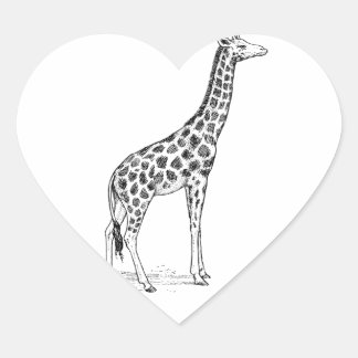 Sticker Cœur Giraffe