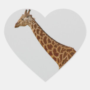 Sticker Cœur Giraffe