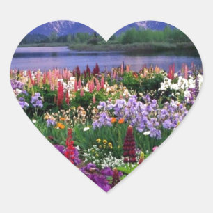 Sticker Cœur Gisement de fleurs