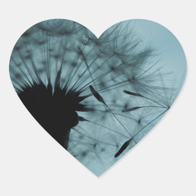 Sticker Cœur Graines de Dandelion Turquoise et noir (Devant)