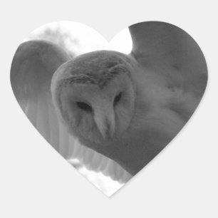 Sticker Cœur Hibou de grange