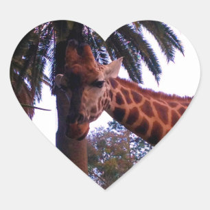 Sticker Cœur Histoires de Grande Girafe sous l'Arbre à Palmes,