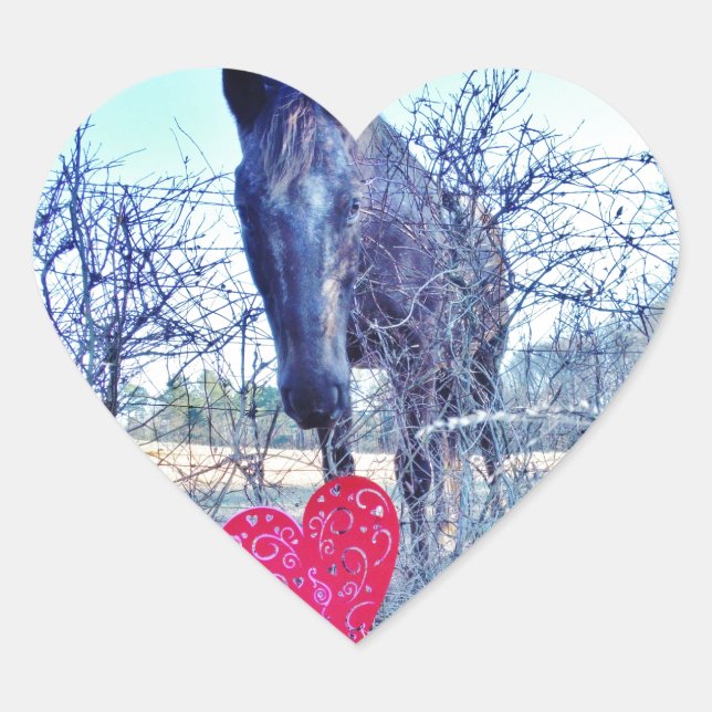 Sticker Cœur Horse et heart (Devant)