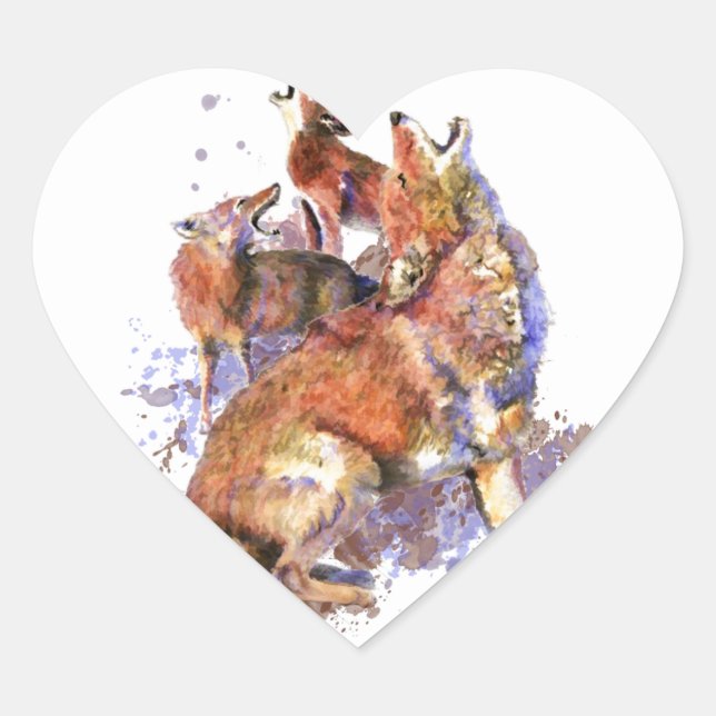 Sticker Cœur Howling Coyote Pack, Animal, Nature (Devant)