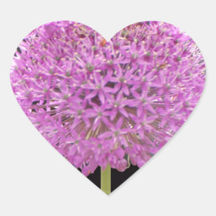 Sticker Cœur Illium Summer Spring Flower - Irish Design