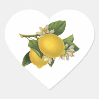Sticker Cœur Illustration vintage citrons