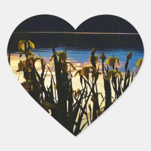 Sticker Cœur Iris jaunes sur la rive du lac Arrowhead