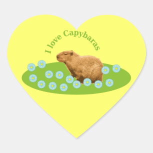 Sticker Cœur J'adore les capybaras