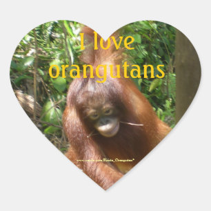 Sticker Cœur J'Aime Les Orangutans