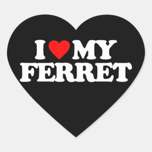 STICKER CŒUR J'AIME MA FERRET