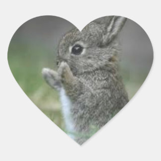 STICKER CŒUR JE COEUR BUNNYS