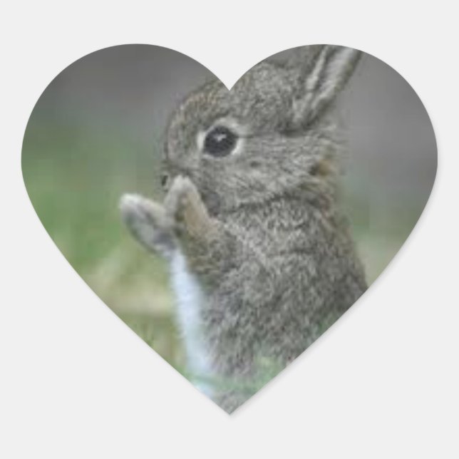 STICKER CŒUR JE COEUR BUNNYS (Devant)