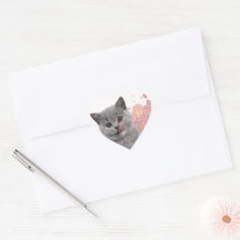 Joli chat
