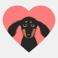 Joli chiot teckel à longs poils