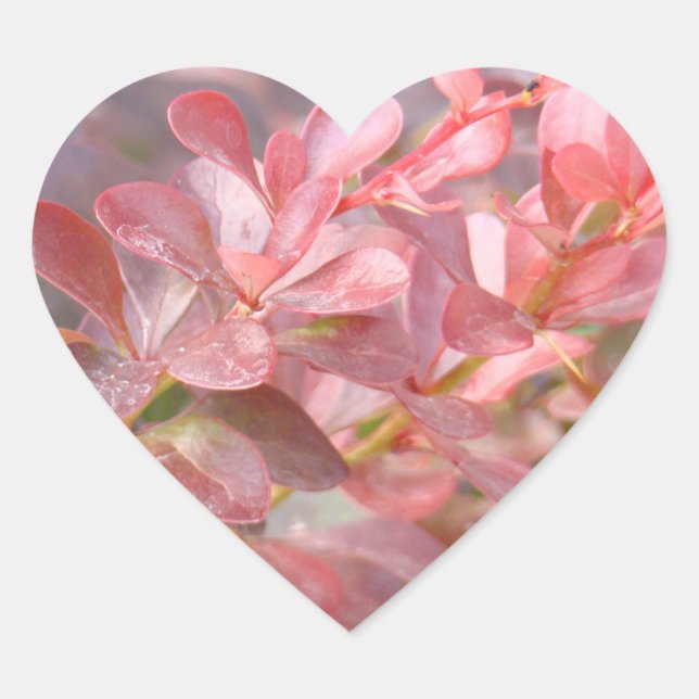 Sticker Cœur Jolies branches roses (Devant)