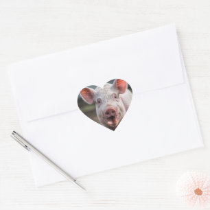 Sticker Cœur Joyeux Poke de langue de porc blanc,