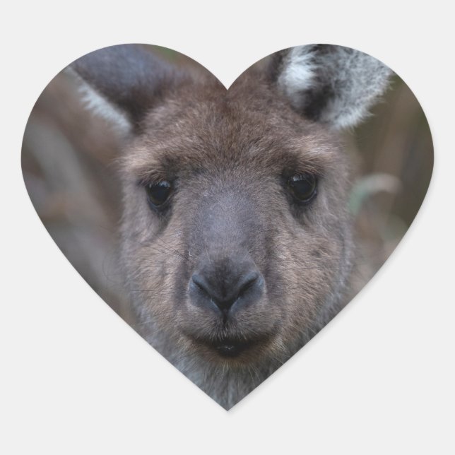 Sticker Cœur Kangaroo Australie (Devant)