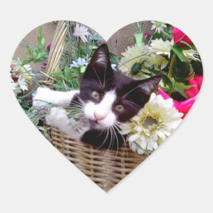Sticker Cœur Kitten dans un panier