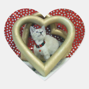 Sticker Cœur La Saint-Valentin - Phoenix d'amour - Chat / Chato