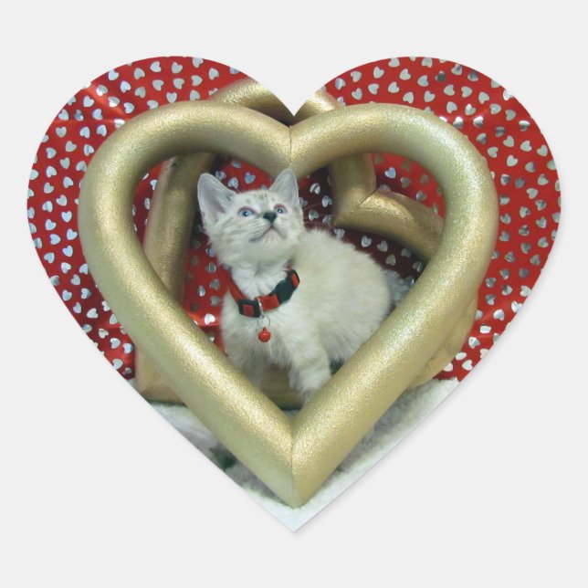 Sticker Cœur La Saint-Valentin - Phoenix d'amour - Chat / Chato (Devant)