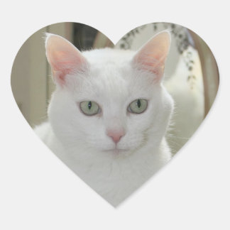 Sticker Cœur La Véritable Jolie Princesse Chat