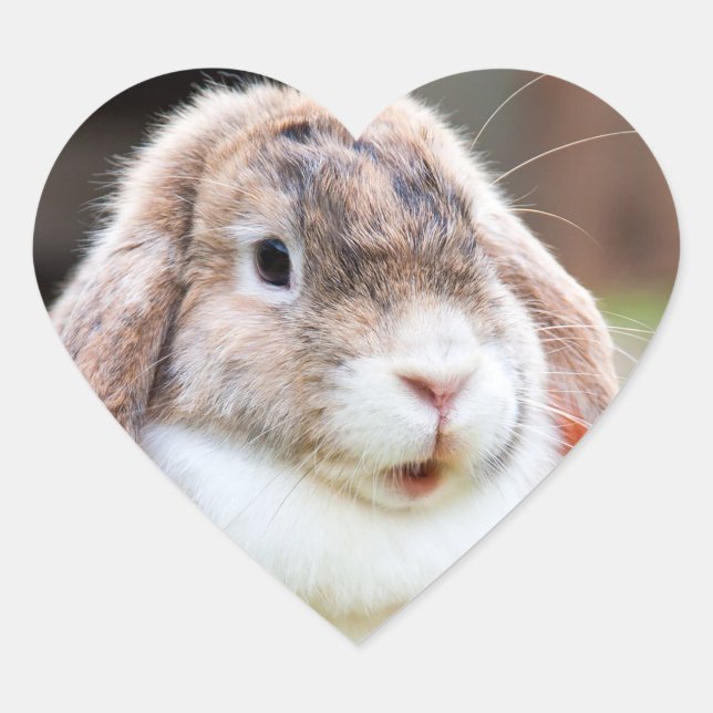 Sticker Cœur lapin à oreilles de lop mignon (Devant)