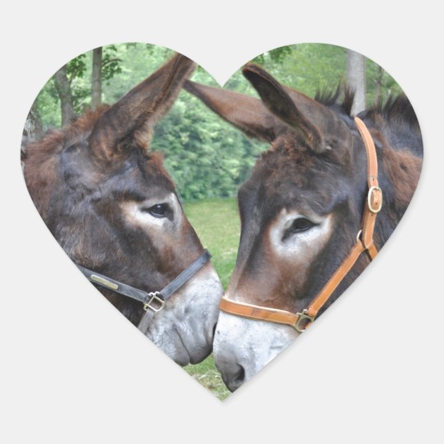 Sticker Cœur Les ânes amoureux (Devant)
