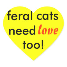 les chats sauvages ont aussi besoin d'amour !