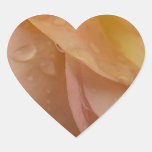 Sticker Cœur Les gouttes de pluie sur les pétales Roses Peach F