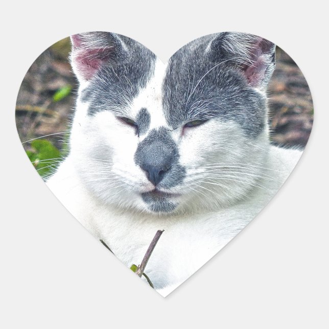 Sticker Cœur Little Mister Pants (Devant)