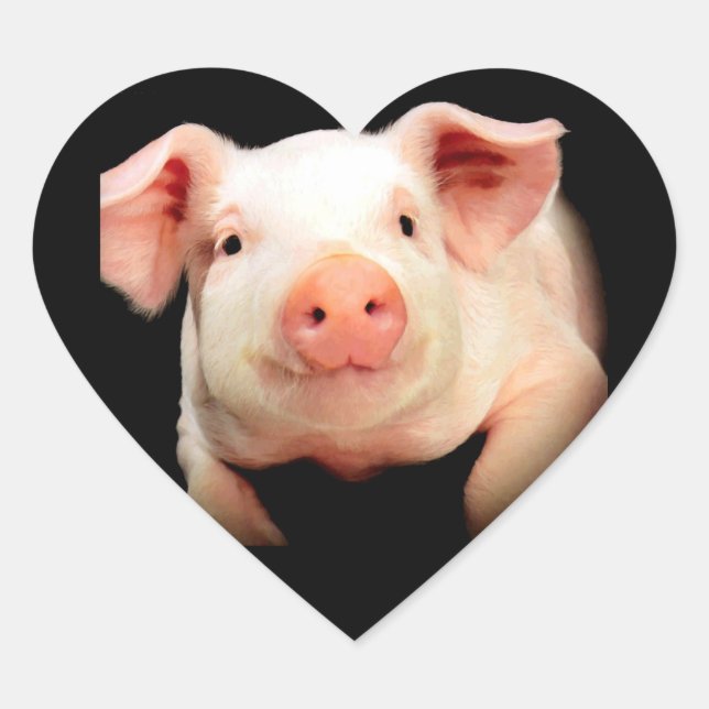 Sticker Cœur Little Piggy (Devant)