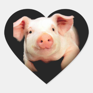 Sticker Cœur Little Piggy