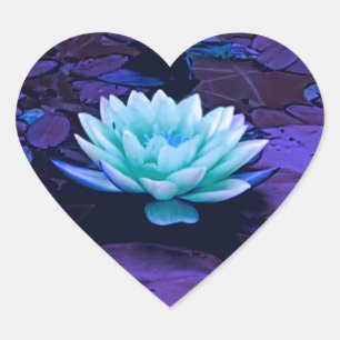 Sticker Cœur Lotus Fleur Magique Violet Bleu Turquoise Floral
