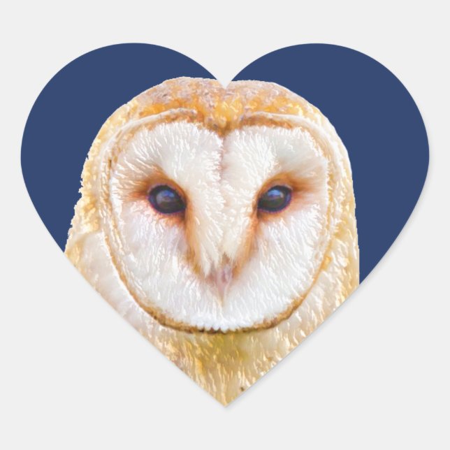 Sticker Cœur Love Heart Barn Owl Bird Animal (Devant)