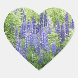Sticker Cœur Lupine sauvage