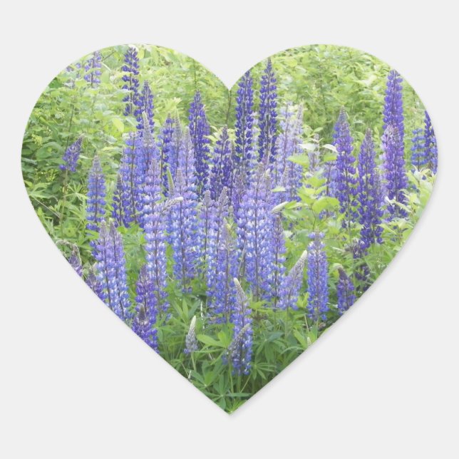 Sticker Cœur Lupine sauvage (Devant)