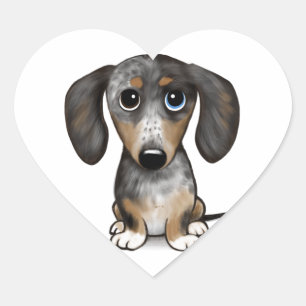 Sticker Cœur Merle Dapple Dachshund mignon chien Wiener