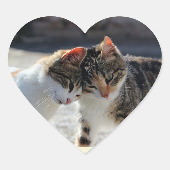 Sticker Cœur Mignon Chat Amour Câlins (Devant)