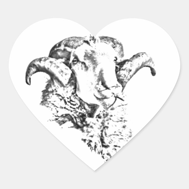 Sticker Cœur Mouton funky et mignon (Devant)