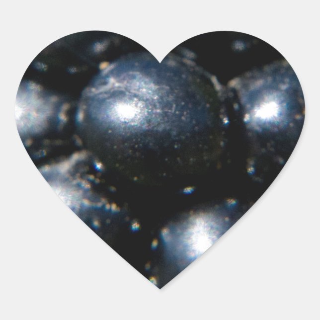 Sticker Cœur Mûres (Devant)