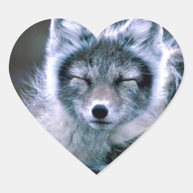 Sticker Cœur Nature (Devant)