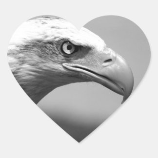 Sticker Cœur Oeil d'aigle noir et blanc