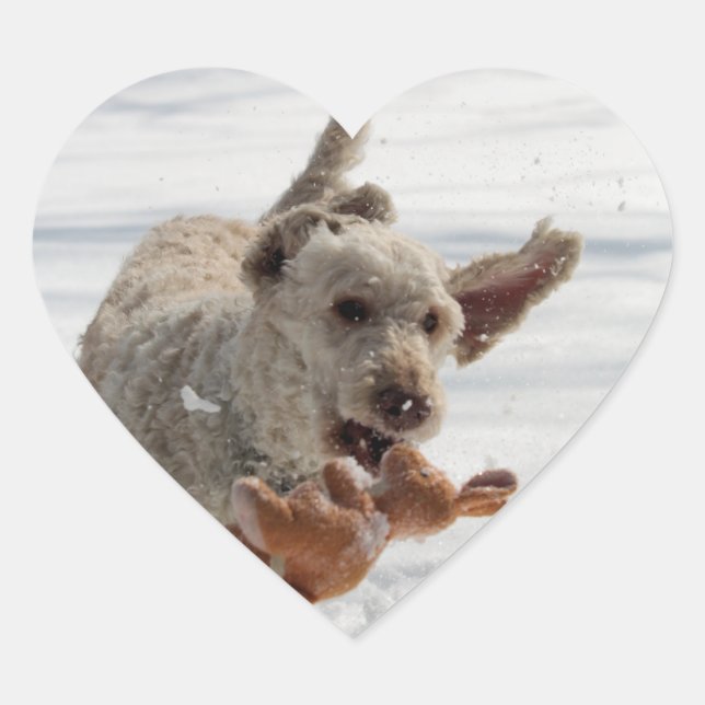 Sticker Cœur Ollie (Devant)