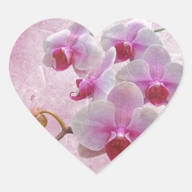 Sticker Cœur Orchidées de teigne rose - Phalaenopsis (Devant)