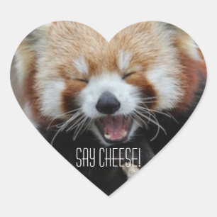 Sticker Cœur Panda Rouge - Dites Fromage !