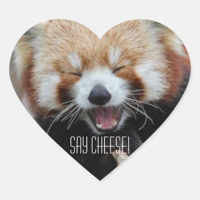 Sticker Cœur Panda Rouge - Dites Fromage ! (Devant)