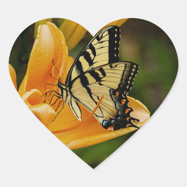 Sticker Cœur Papillon (Devant)