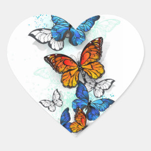 Sticker Cœur Papillons volants Morpho et Monarch