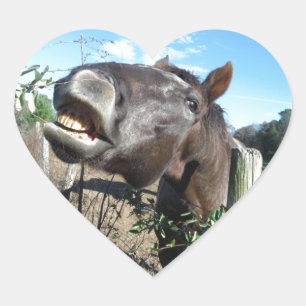 Sticker Cœur Parler de cheval Brown